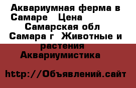 Аквариумная ферма в Самаре › Цена ­ 12 000 - Самарская обл., Самара г. Животные и растения » Аквариумистика   